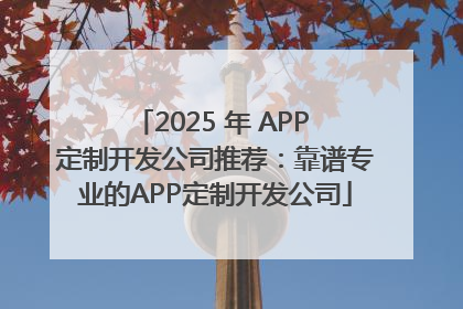 2025 年 APP 定制开发公司推荐：靠谱专业的APP定制开发公司