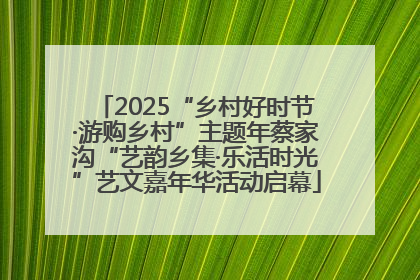 2025“乡村好时节·游购乡村”主题年蔡家沟“艺韵乡集·乐活时光”艺文嘉年华活动启幕
