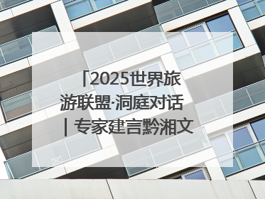 2025世界旅游联盟·洞庭对话｜专家建言黔湘文旅协同发展：聚焦产品稀缺性 深化区域经验共享