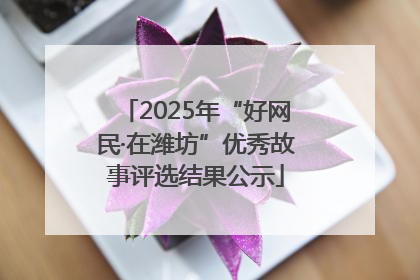 2025年“好网民·在潍坊”优秀故事评选结果公示