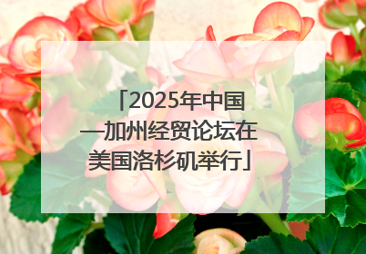 2025年中国—加州经贸论坛在美国洛杉矶举行