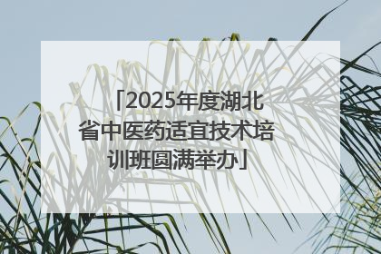 2025年度湖北省中医药适宜技术培训班圆满举办