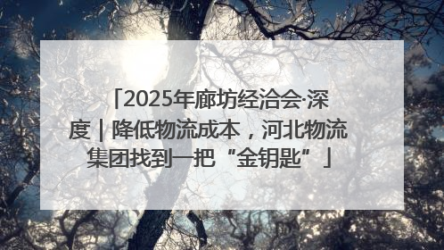 2025年廊坊经洽会·深度｜降低物流成本，河北物流集团找到一把“金钥匙”