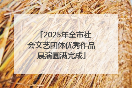 2025年全市社会文艺团体优秀作品展演圆满完成