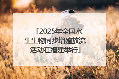 2025年全国水生生物同步增殖放流活动在福建举行
