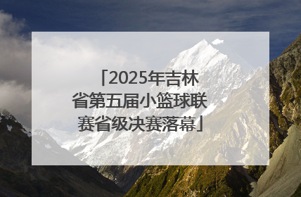 2025年吉林省第五届小篮球联赛省级决赛落幕