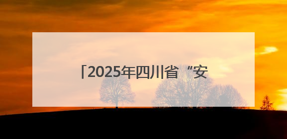 2025年四川省“安全宣传咨询日”活动在内江举行& 8203