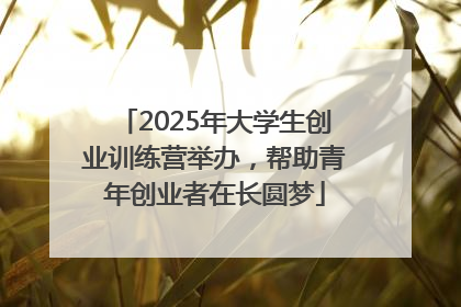 2025年大学生创业训练营举办，帮助青年创业者在长圆梦