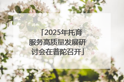 2025年托育服务高质量发展研讨会在普陀召开