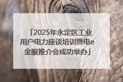 2025年永定区工业用户电力座谈培训暨电e金服推介会成功举办
