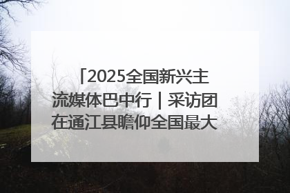 2025全国新兴主流媒体巴中行｜采访团在通江县瞻仰全国最大红军烈士陵园
