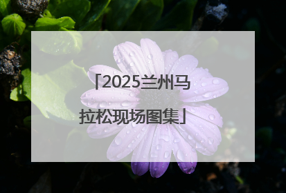 2025兰州马拉松现场图集