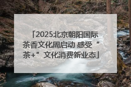 2025北京朝阳国际茶香文化周启动 感受“茶+”文化消费新业态