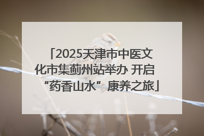 2025天津市中医文化市集蓟州站举办 开启“药香山水”康养之旅