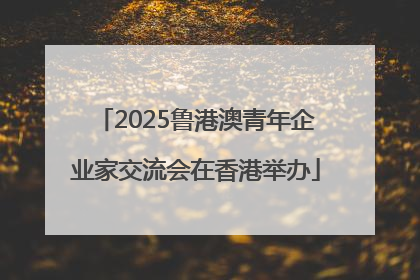 2025鲁港澳青年企业家交流会在香港举办