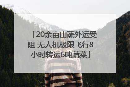 20余亩山蔬外运受阻 无人机极限飞行8小时转运6吨蔬菜