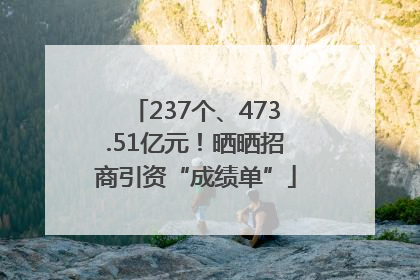 237个、473.51亿元！晒晒招商引资“成绩单”