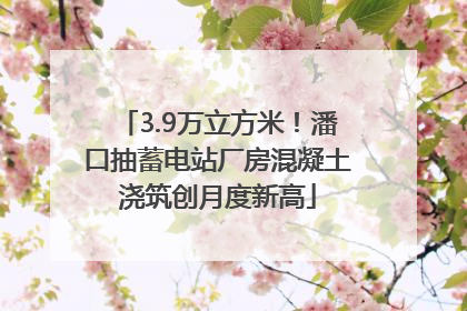 3.9万立方米！潘口抽蓄电站厂房混凝土浇筑创月度新高