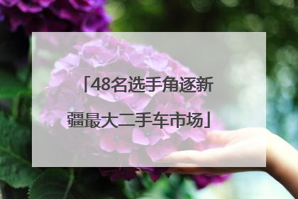 48名选手角逐新疆最大二手车市场