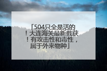 504只全是活的！大连海关最新截获！有攻击性和毒性，属于外来物种