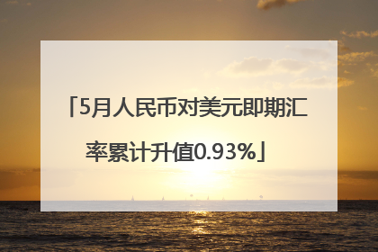 5月人民币对美元即期汇率累计升值0.93%