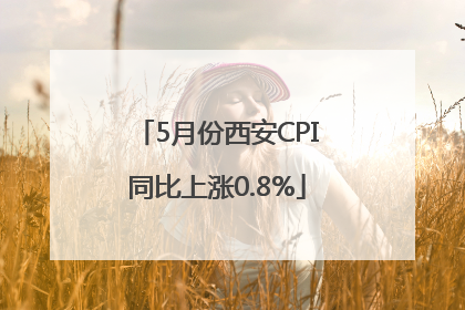 5月份西安CPI同比上涨0.8%
