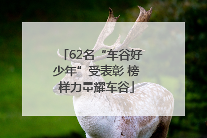 62名“车谷好少年”受表彰 榜样力量耀车谷