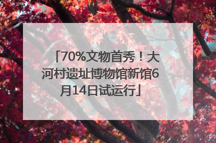 70%文物首秀！大河村遗址博物馆新馆6月14日试运行