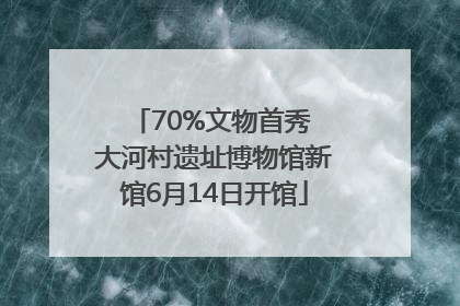 70%文物首秀 大河村遗址博物馆新馆6月14日开馆