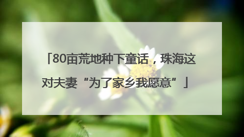 80亩荒地种下童话，珠海这对夫妻“为了家乡我愿意”