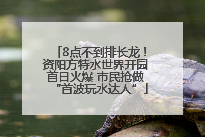 8点不到排长龙！资阳方特水世界开园首日火爆 市民抢做“首波玩水达人”