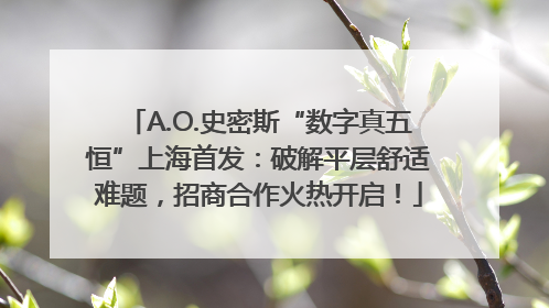 A.O.史密斯“数字真五恒”上海首发：破解平层舒适难题，招商合作火热开启！