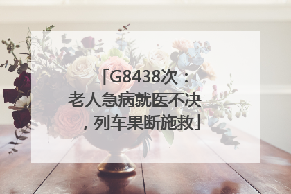 G8438次：老人急病就医不决，列车果断施救