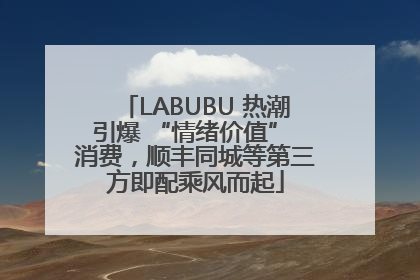 LABUBU 热潮引爆 “情绪价值” 消费，顺丰同城等第三方即配乘风而起