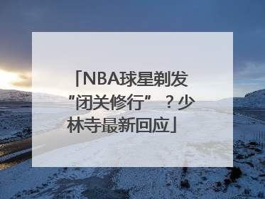 NBA球星剃发“闭关修行”？少林寺最新回应