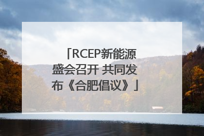 RCEP新能源盛会召开 共同发布《合肥倡议》
